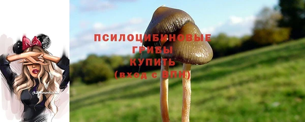 синтетический гашиш Абдулино