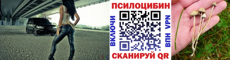 Псилоцибиновые грибы MAGIC MUSHROOMS  Струнино 
