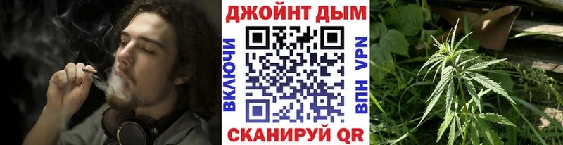 Бошки марихуана конопля Струнино